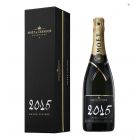 Moet & Chandon - Grand Vintage (2015) - Bouteille (75cl)